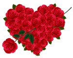 heart and roses
